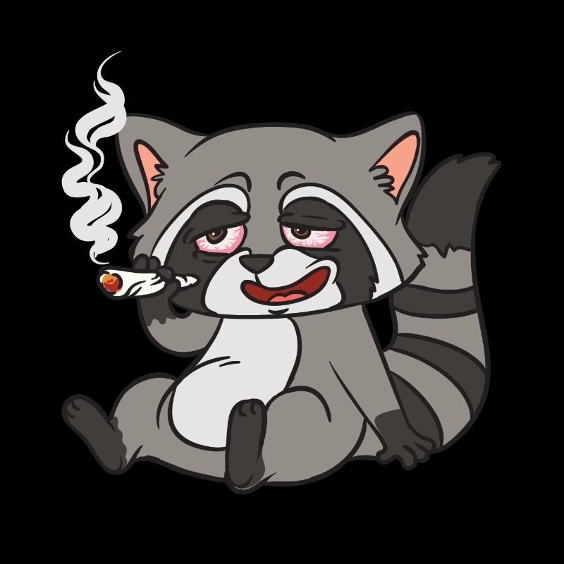 Raton laveur raton laveur Stoner raton laveur