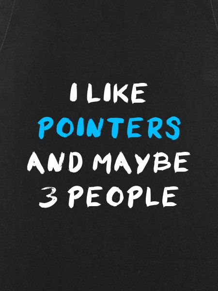 Pointer