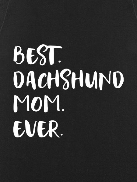 Dackel Teckel Dachshund