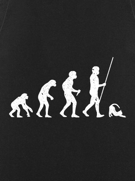 Katze Evolution