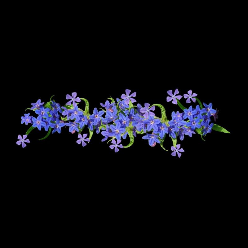 bleu printemps fleurs fleurs guirlande fleur prairie