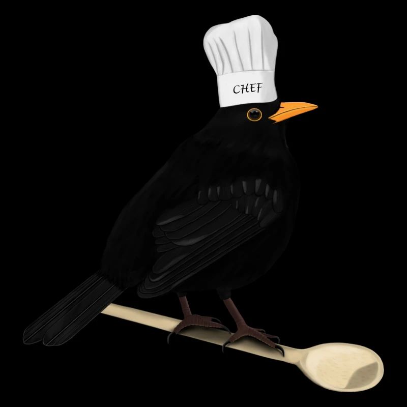 Blackbird Chef Chef Cuisine Bird Watcher