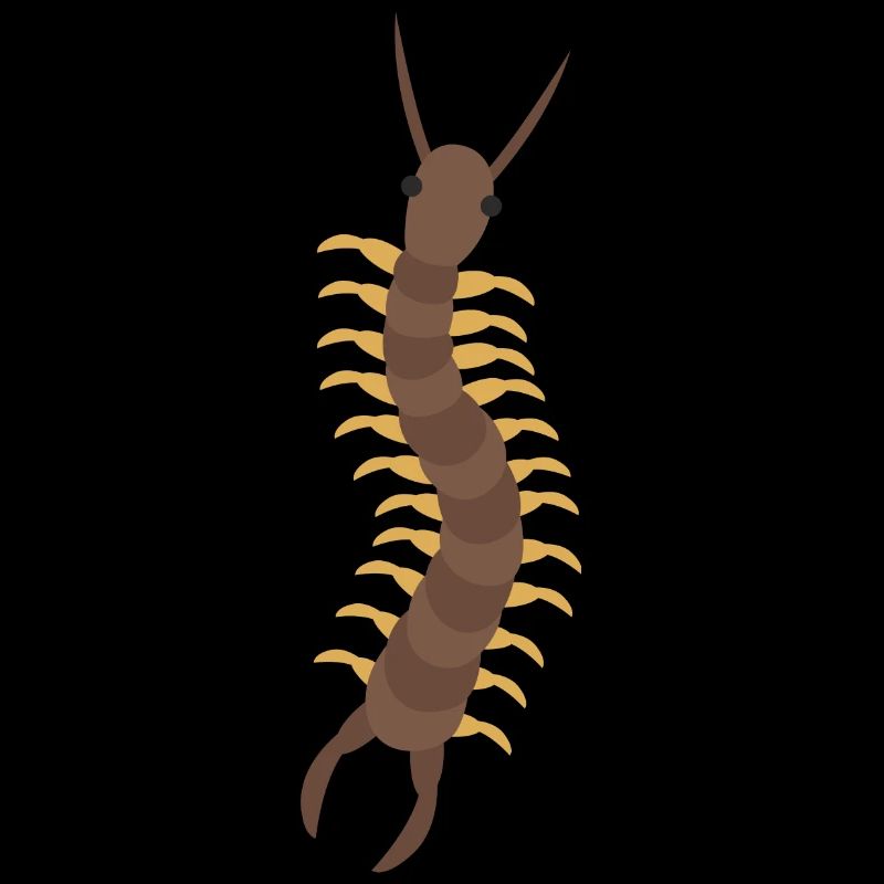 Mille-Pattes