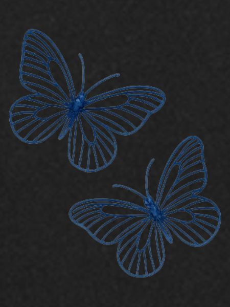Butterflies