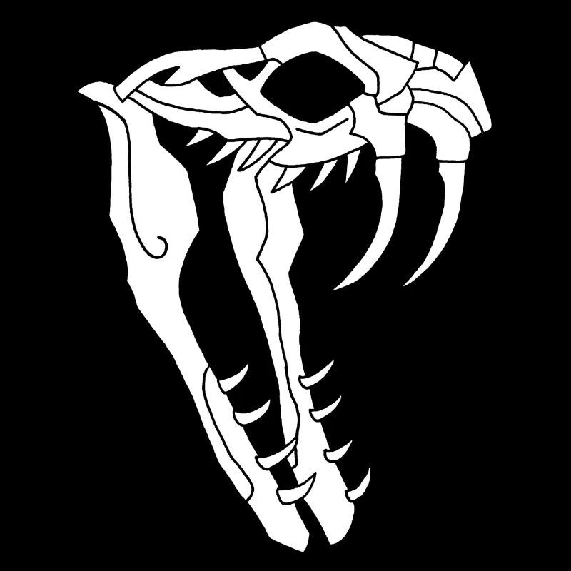 Crâne de serpent