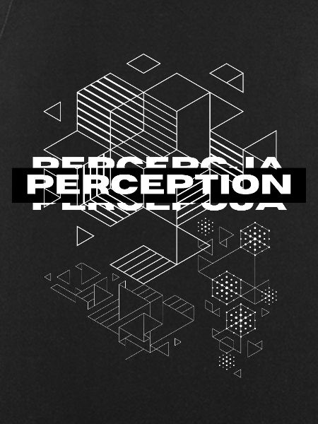 Perception Geometry Mystique