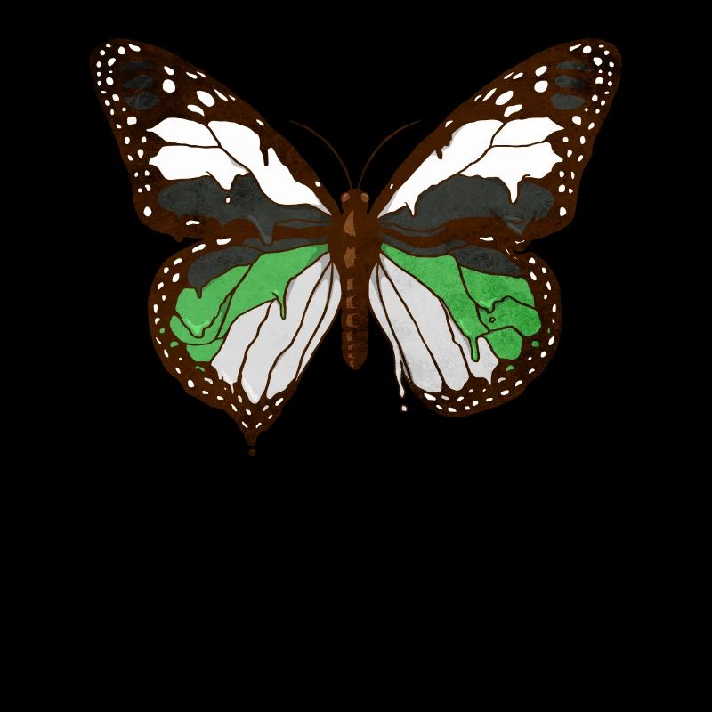 Demiromantique Fierté Drapeau Papillon Subtil L