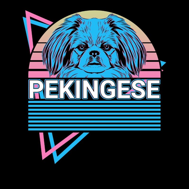 Pékinois Rétro