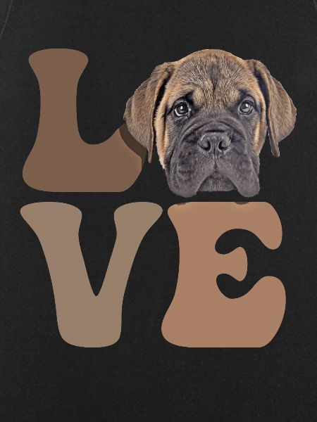 Bullmastiff Dog