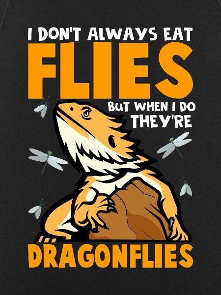 Dragonflies