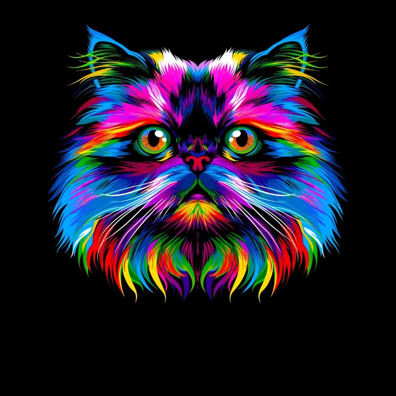 Chat de l’Himalaya Popart