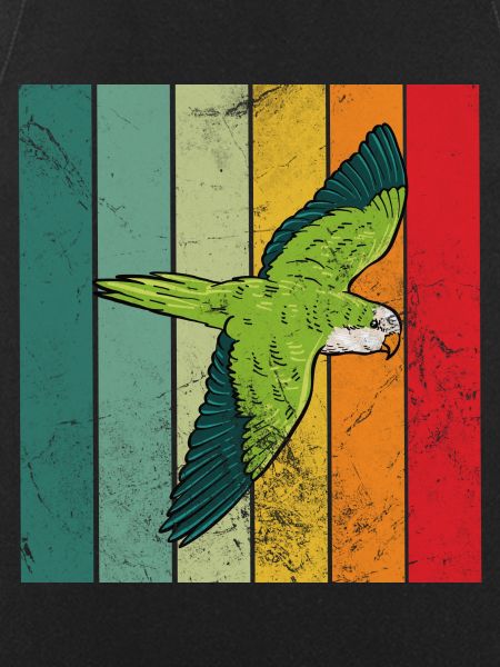 Quaker parrot retro