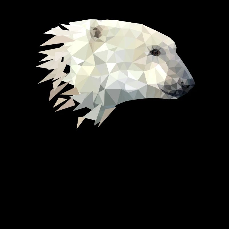 Conception de l'ours polaire