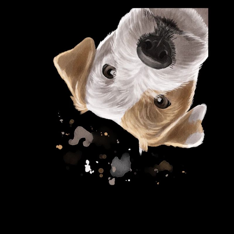 Neugieriger Parson Russell Terrier Hund