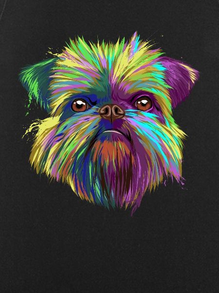Splash Brussels Griffon Dog