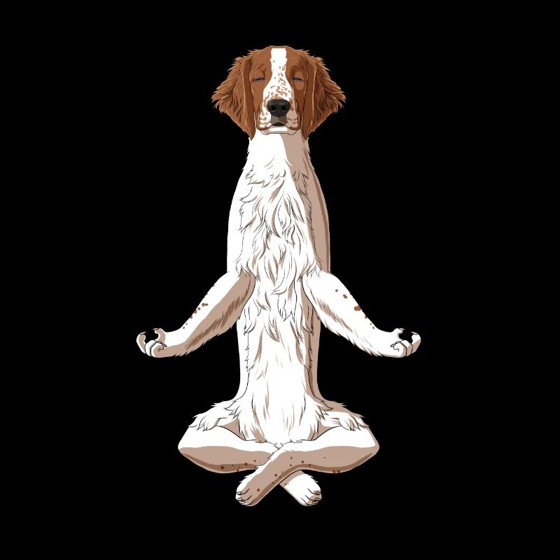 Chien Welsh Springer Spaniel Méditant