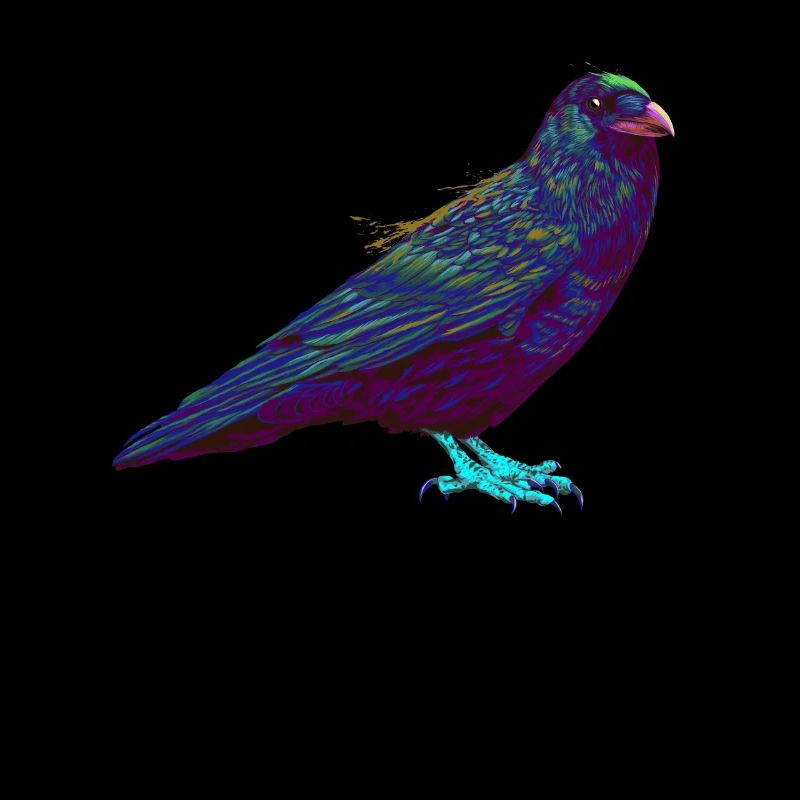 Splash Raven Bird Crow