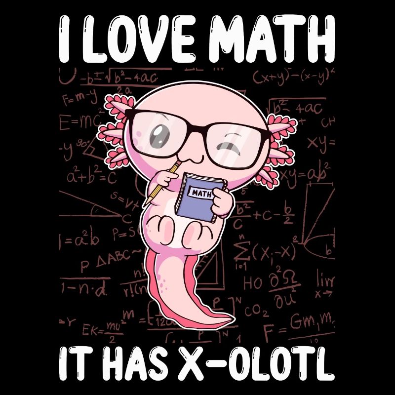 Funny Math Kawaii Axolotl Gift