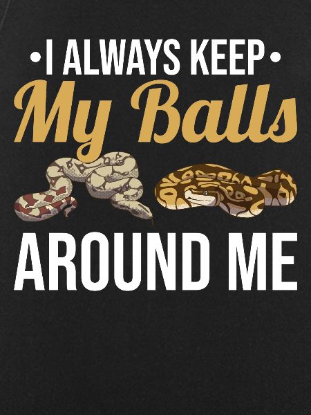 Funny Ball Python Snake
