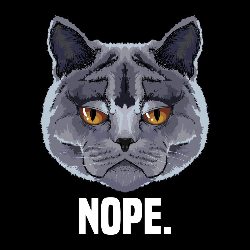 grumpy british shorthair cat cat lover