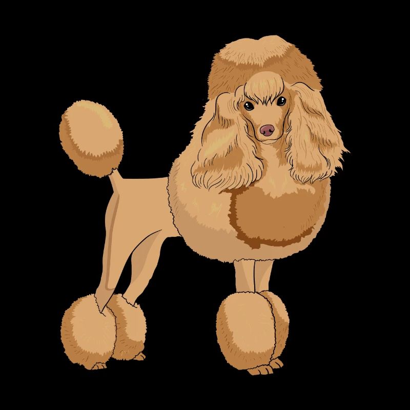 Poodle