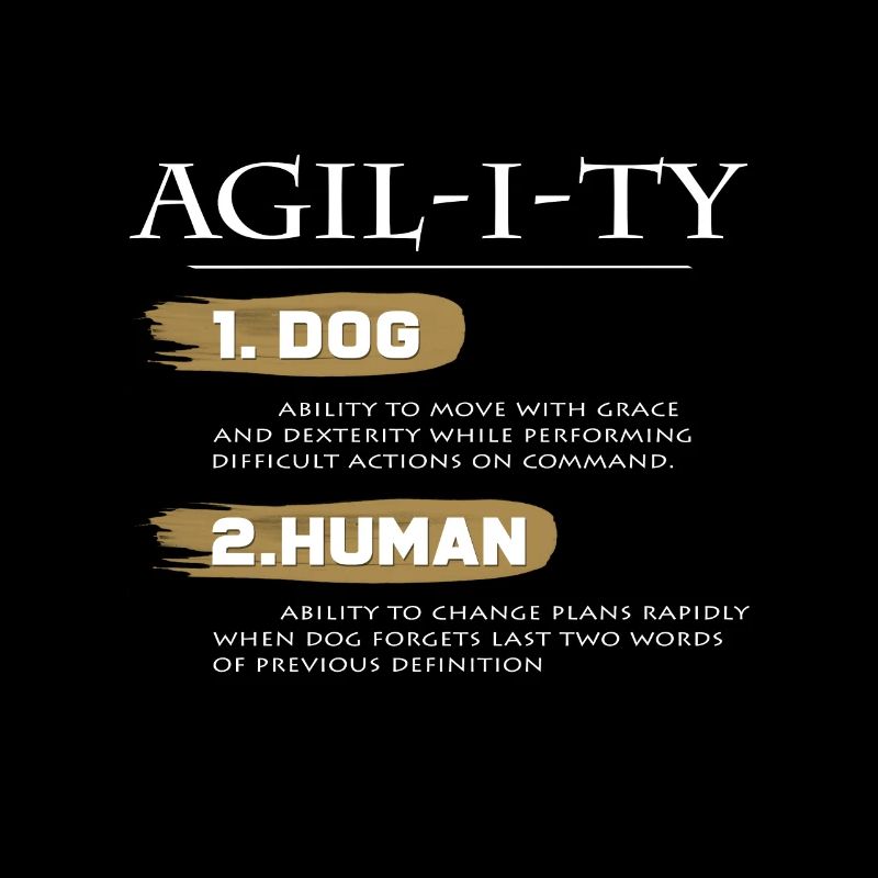 Formation de chien d'agilité