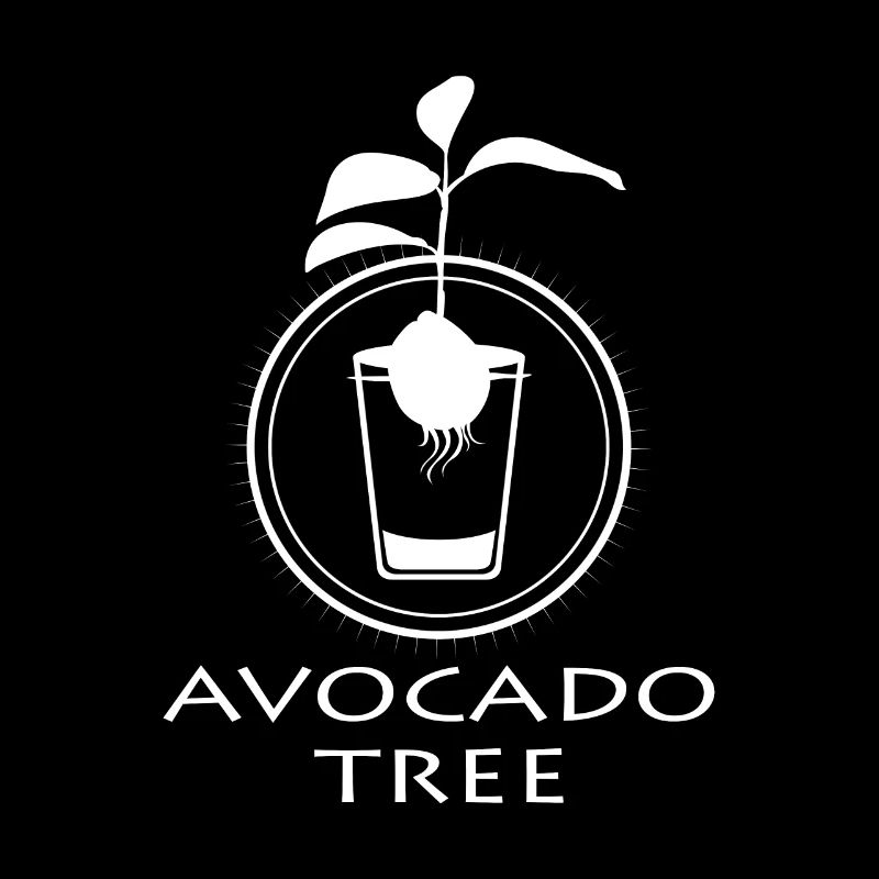 Avocado sapling