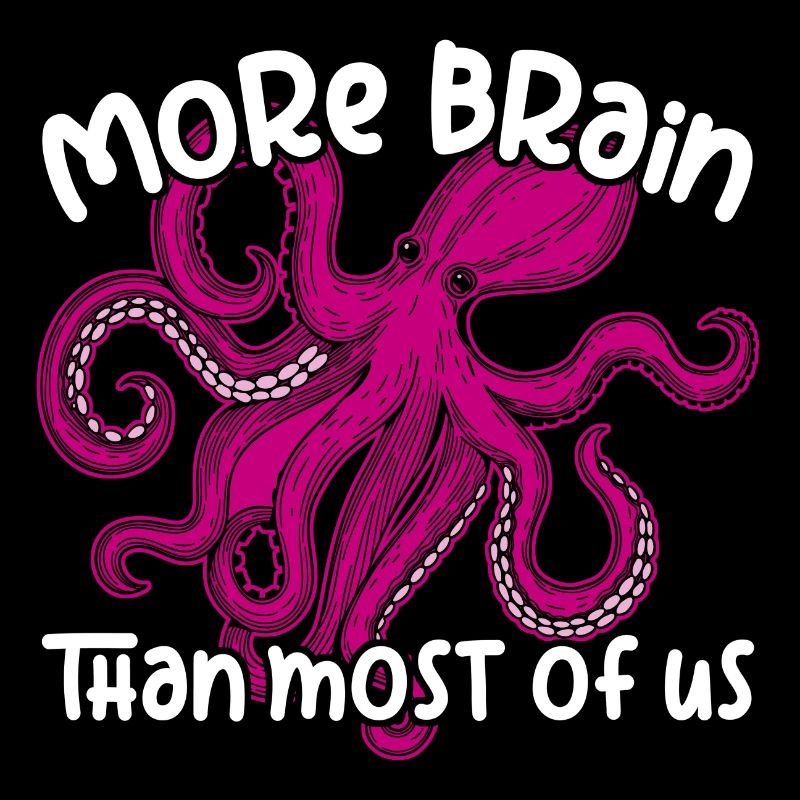 Pieuvres intelligentes - Big Octopus