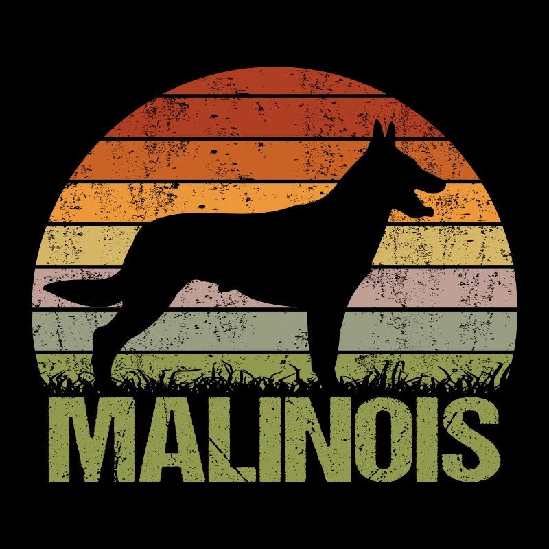 Malinois Belgian Shepherd Dog Vintage