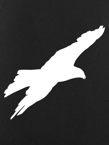 gliding eagle