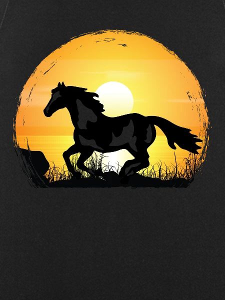 Sunset - Paint Horse
