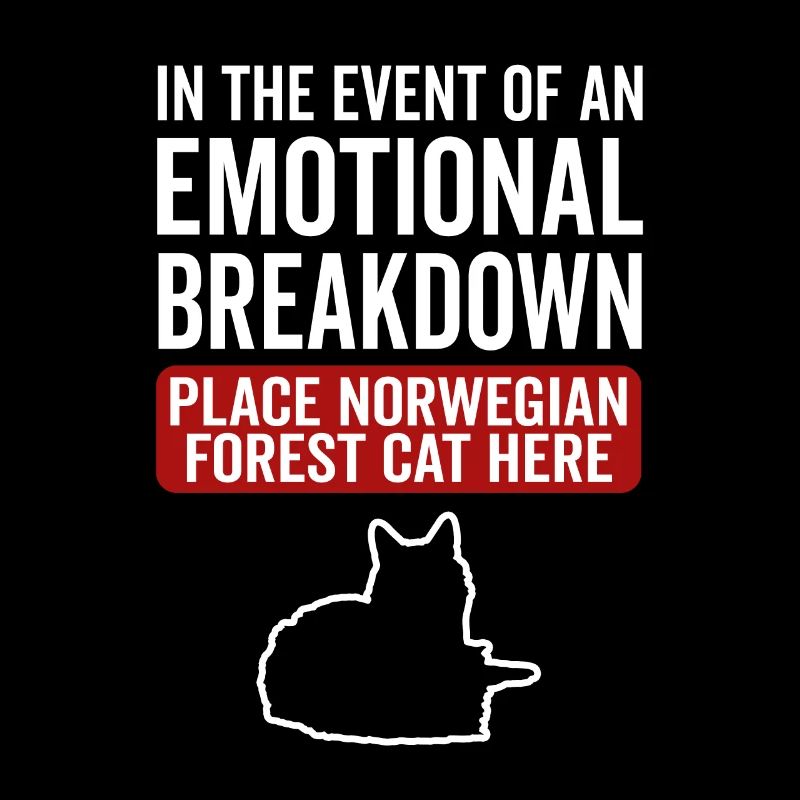 Émotionnel - Chat des forêts norvégiennes