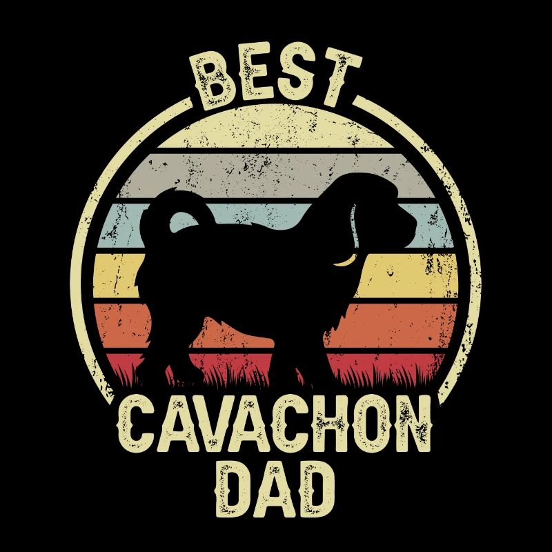 Bester Hundevater - Cavachon