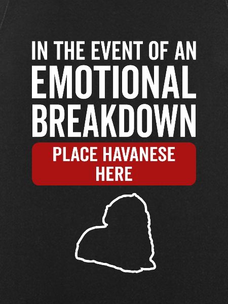 Emotional - Dog Havanese