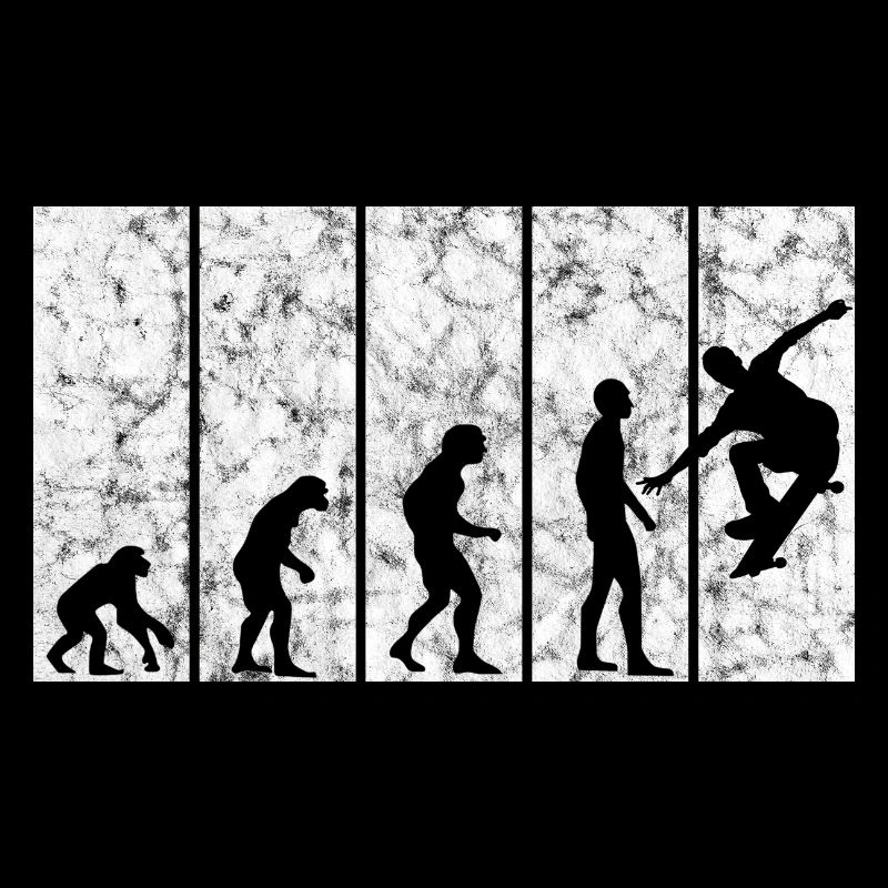 Skateboarder Skateboard Skater Evolution Skateing