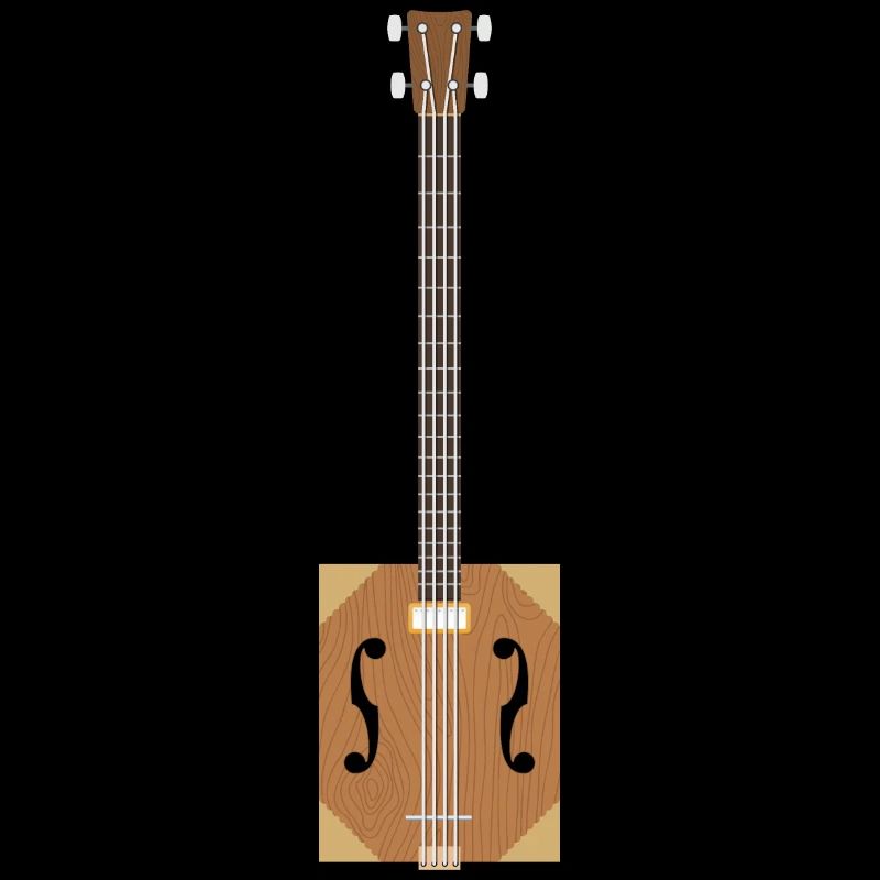 Cigar Box Guitar
