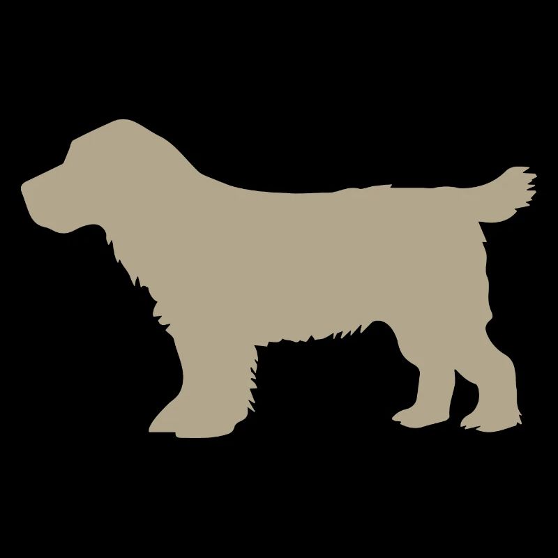 Cocker Spaniel – grey gold