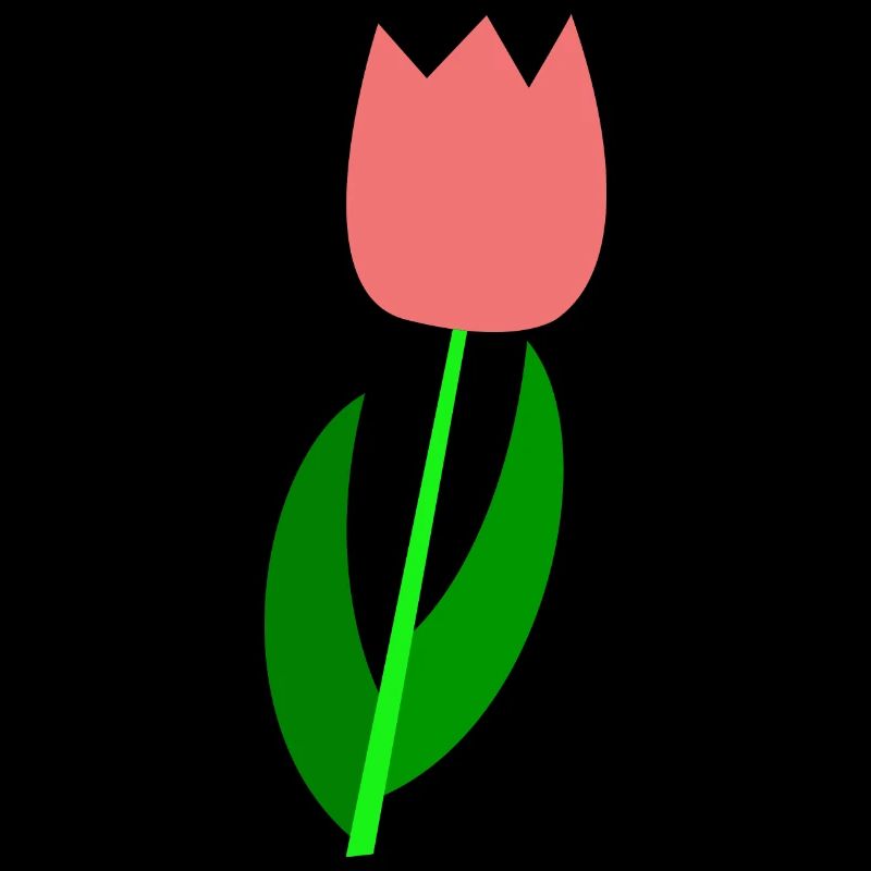 Tulipe Pays-Bas