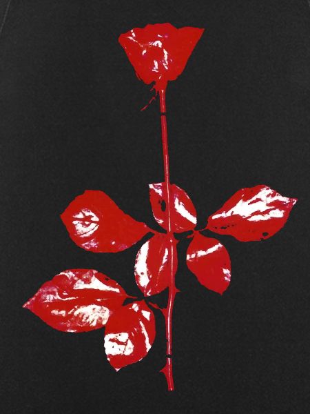 Flower Rose Violator Grafik