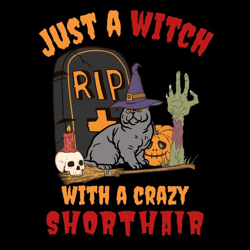 Süße Halloween Britisch Kurzhaar Katze