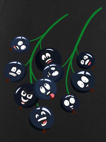 Currants