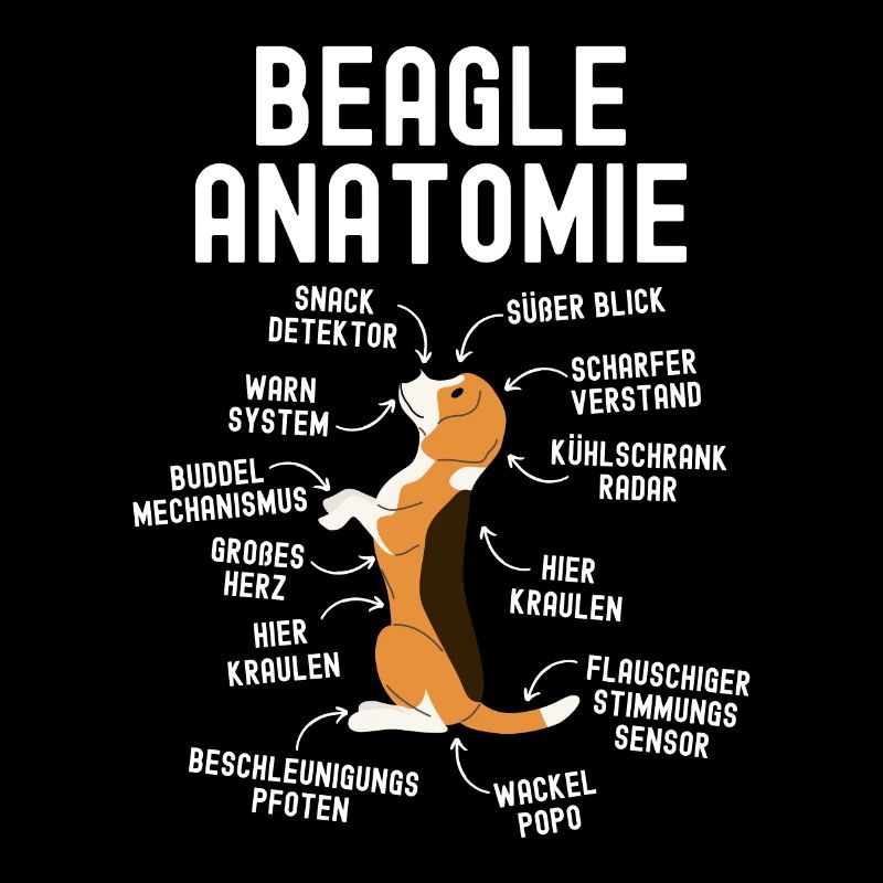 Beagle Anatomy pour les amateurs de Beagle