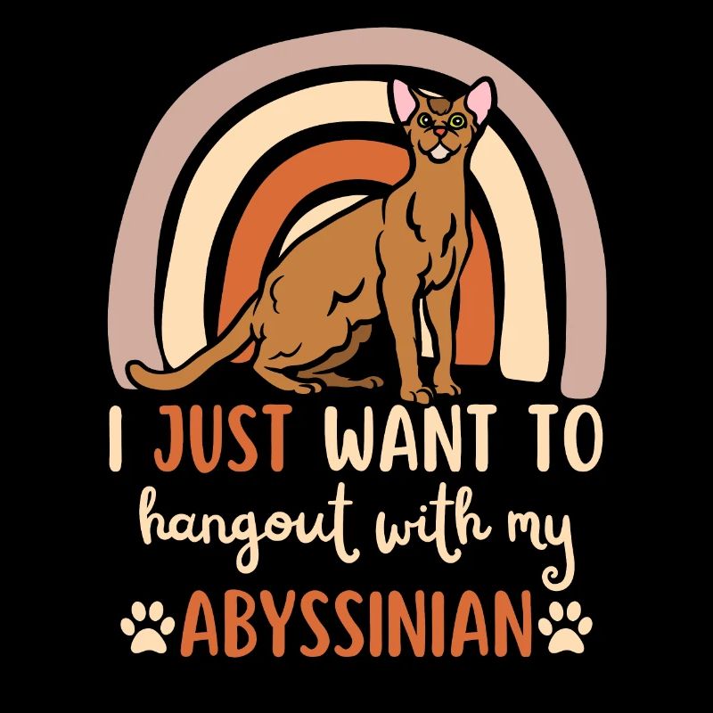 Cute Abyssinian cat