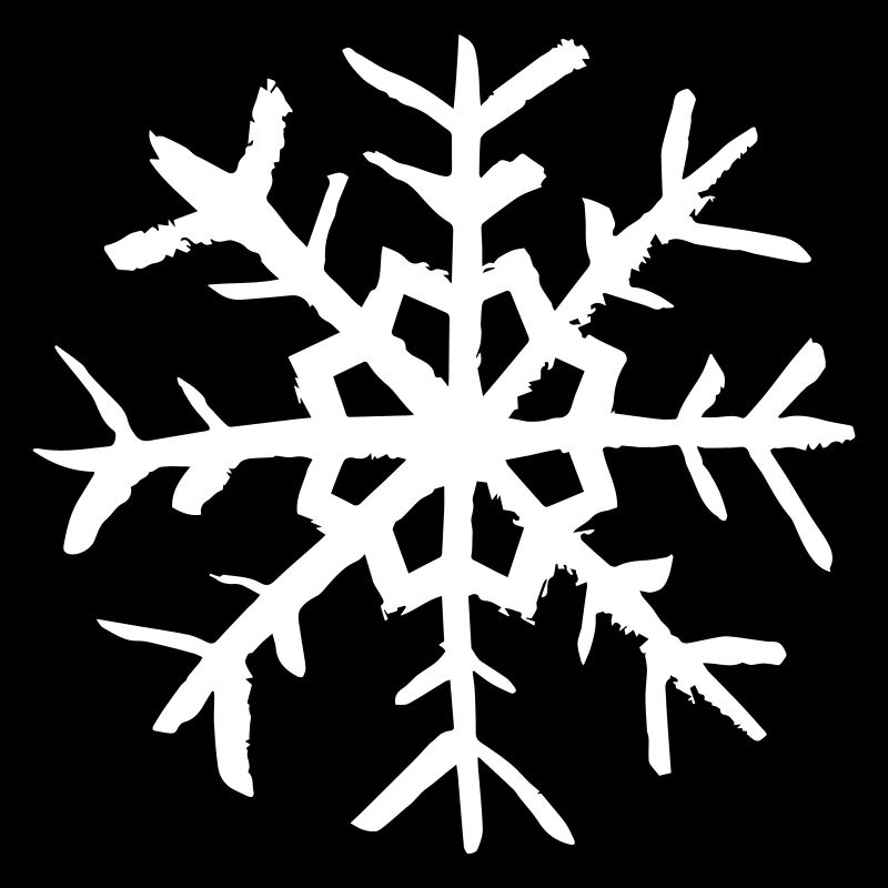 Flocon de neige