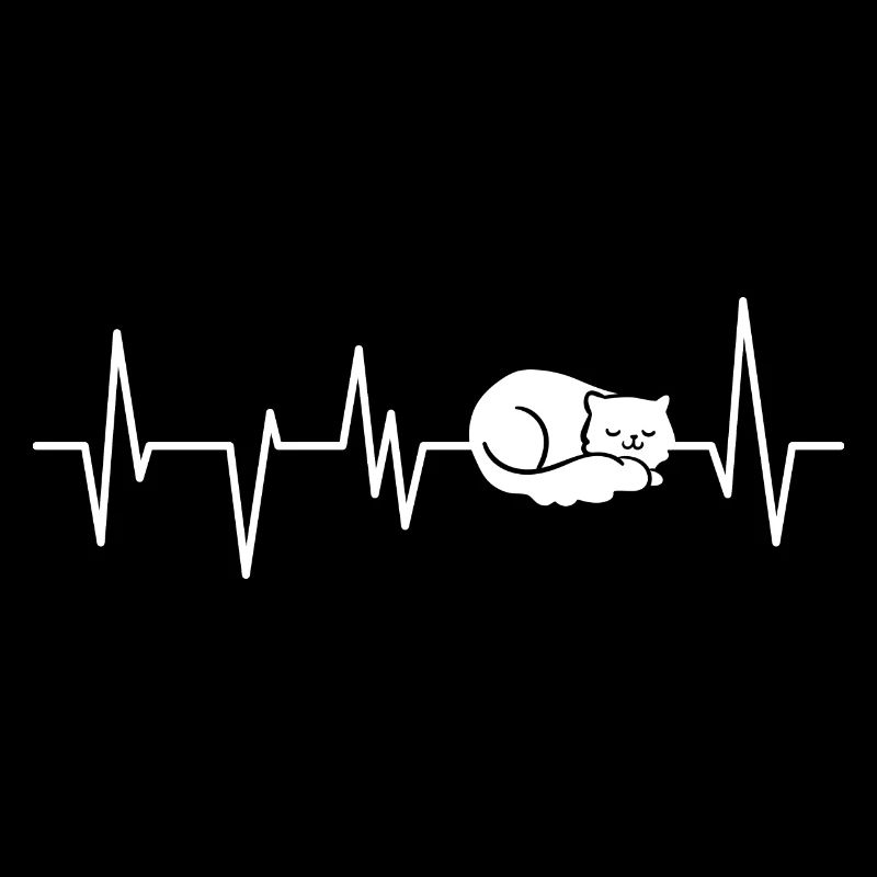 Cats Cat Cat