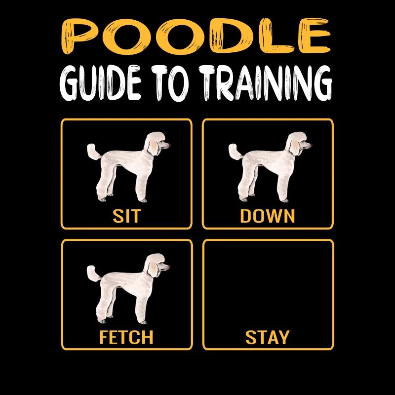 Guide de caniche à la formation de l’obéissance de chien