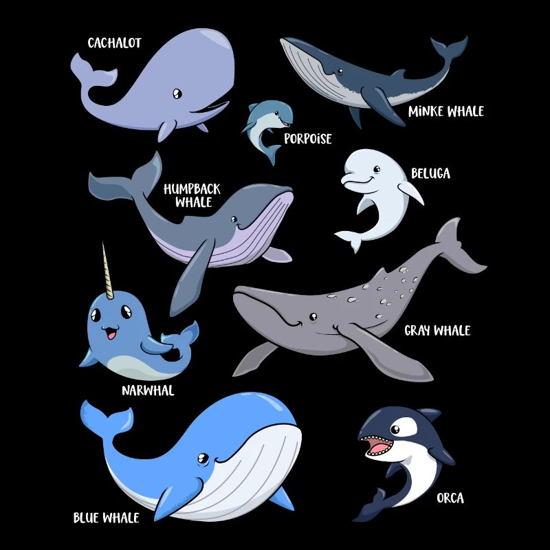 Diverses baleines kawaii