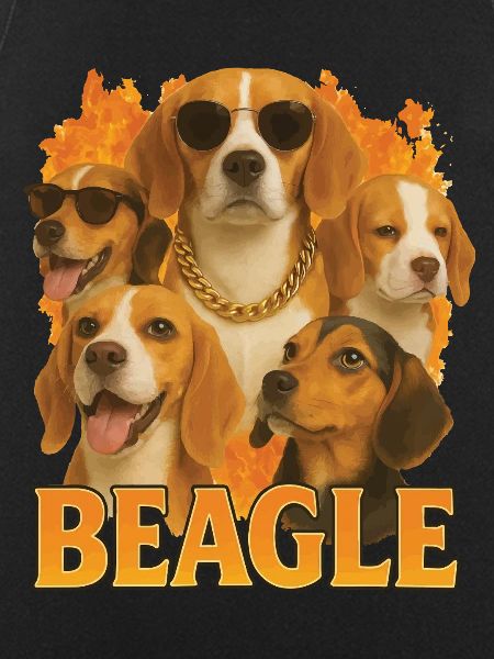 Beagle