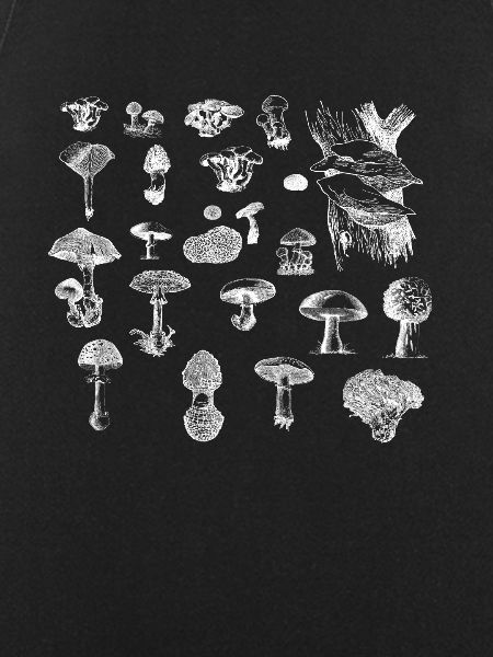 Pilz-Sammlung
