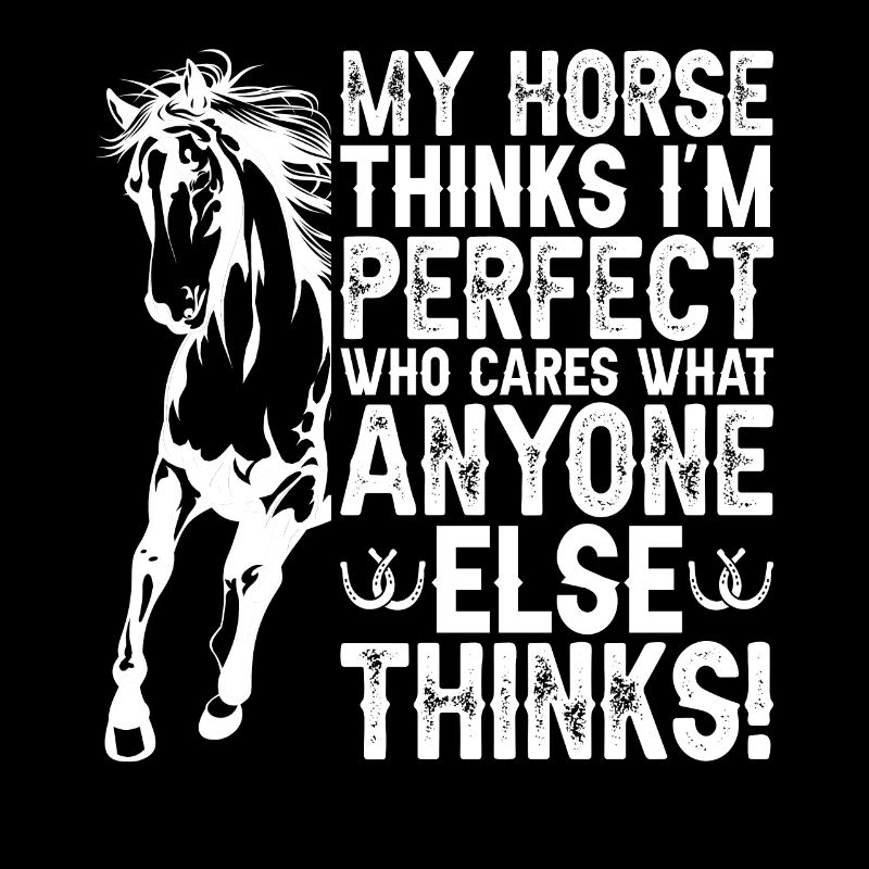 Mon cheval pense que je suis parfait et c’est mon